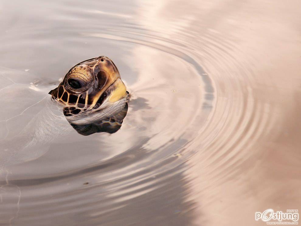 ชายรองน้องชายเอกพาชมภาพสวยๆจากทั่วโลก3