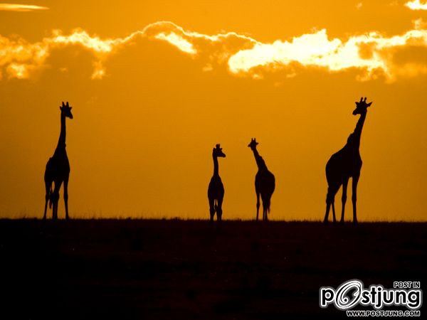 ชายรองน้องชายเอกพาชมภาพสวยๆจากทั่วโลก3