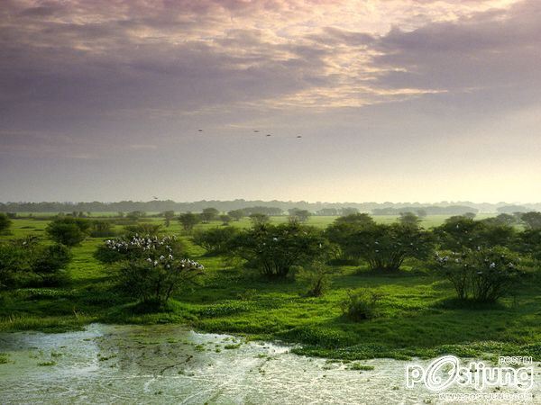 ชายรองน้องชายเอกพาชมภาพสวยๆจากทั่วโลก3