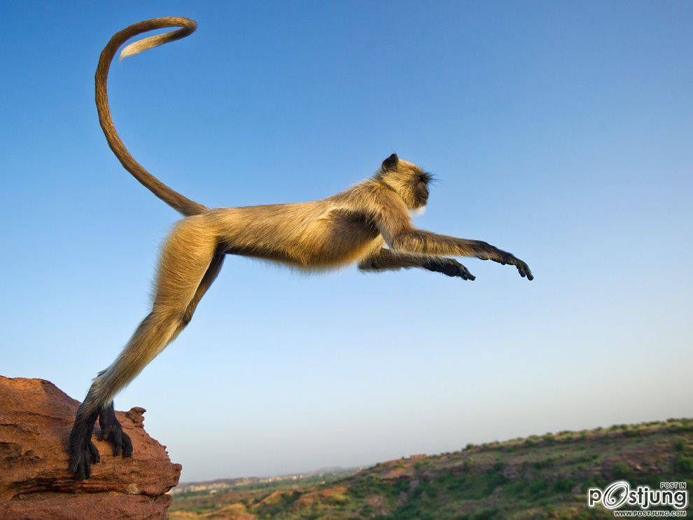 ชายรองน้องชายเอกพาชมภาพสวยๆจากทั่วโลก3