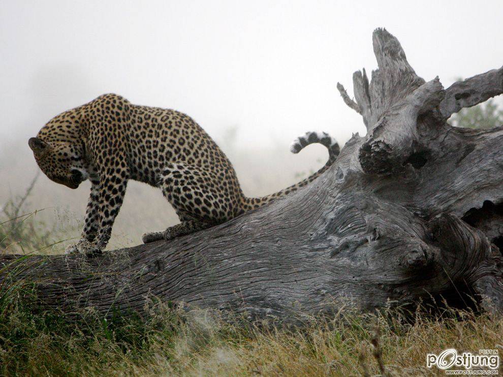 ชายรองน้องชายเอกพาชมภาพสวยๆจากทั่วโลก3