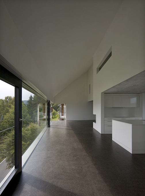 Narrow Lot House Plans &ndash; narrow and vertical in Swiss