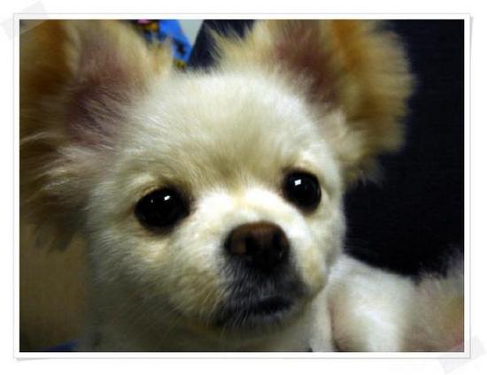 น่ารักจังเลย ลูกแม่