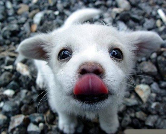 น่ารักจังเลย ลูกแม่