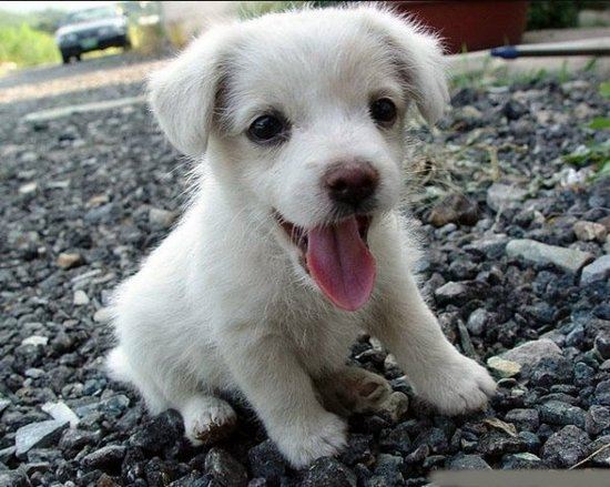 น่ารักจังเลย ลูกแม่