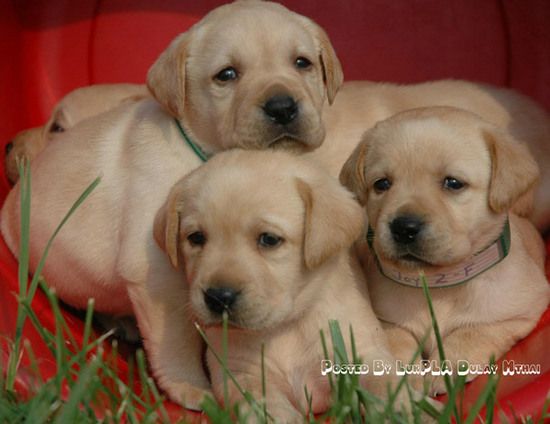 น่ารักจังเลย ลูกแม่