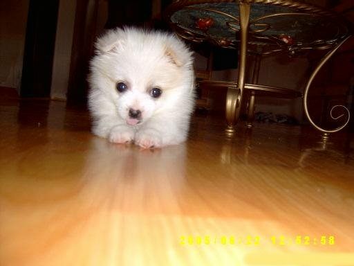 น่ารักจังเลย ลูกแม่