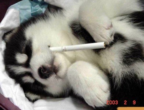 น่ารักจังเลย ลูกแม่