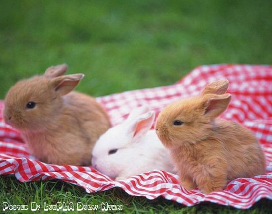 น่ารักจังเลย ลูกแม่