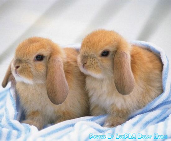 น่ารักจังเลย ลูกแม่