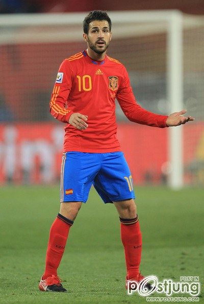 David Villa S&aacute;nchez