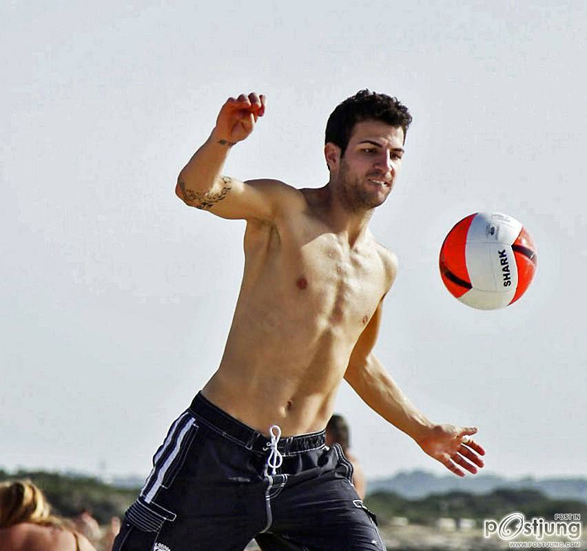 David Villa S&aacute;nchez