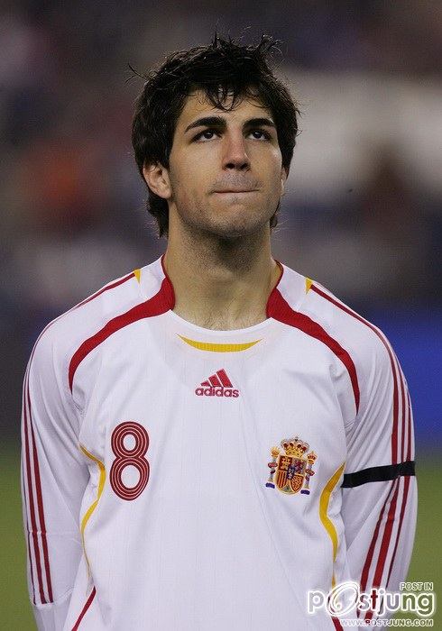 David Villa S&aacute;nchez