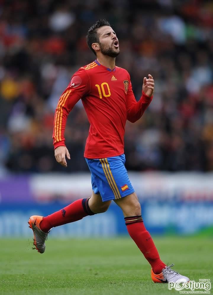David Villa S&aacute;nchez
