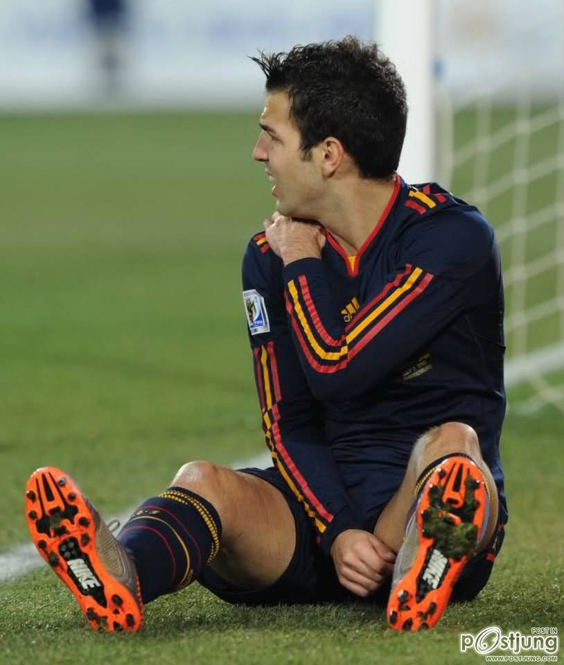 David Villa S&aacute;nchez