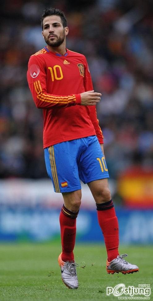 David Villa S&aacute;nchez