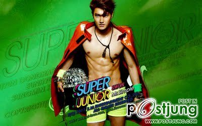 Super Junior Mr.Simple