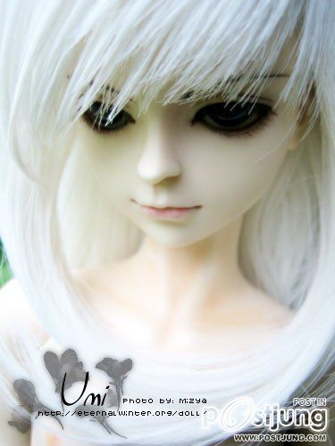 ตุ๊กตาดอลฟี่สวยๆ