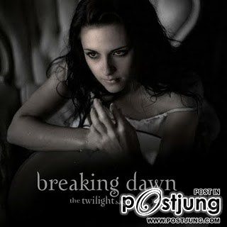 The Twilight Saga : Breaking Dawn Part 1