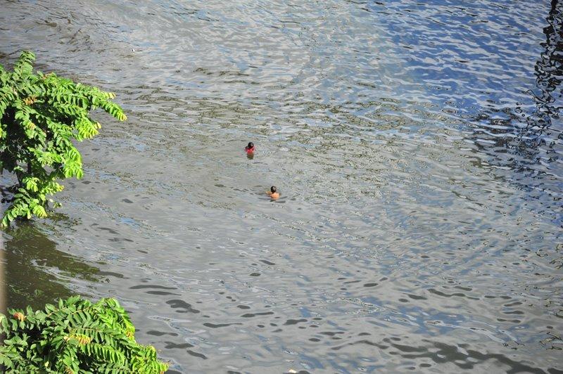 รังสิตในวันนี้