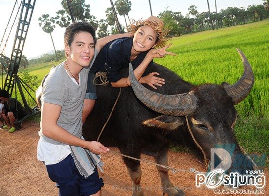 เพลงรักบ้านนา