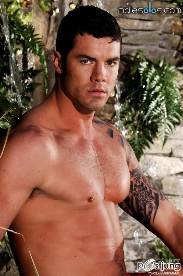 ว่าด้วย ขน อันสวยงาม