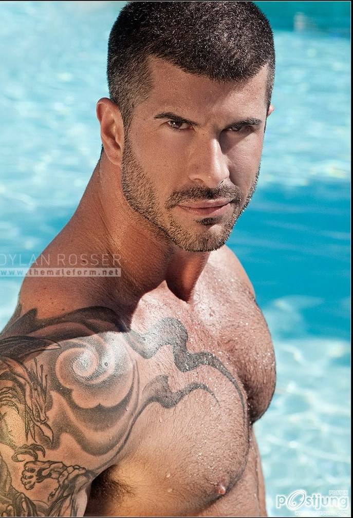 ว่าด้วย ขน อันสวยงาม