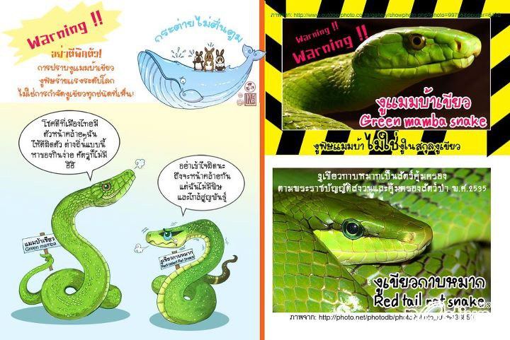เปรียบเทียบกับงูเขียว คล้ายๆกัน