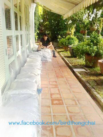 เบิร์ด ธงไชย แบกกระสอบทรายกันน้ำท่วมบ้าน