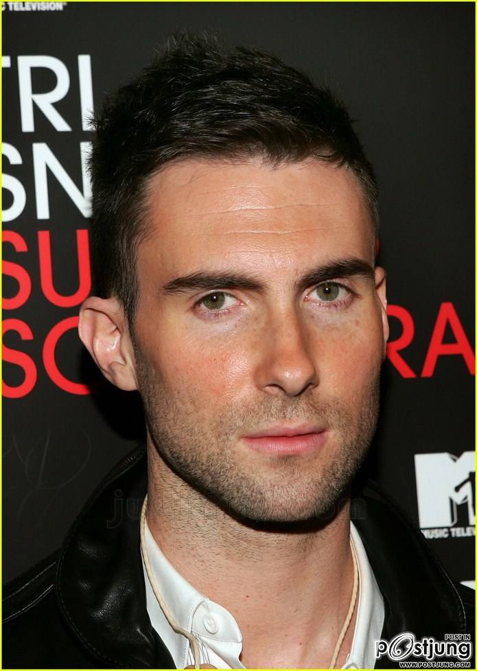 AdamLevine