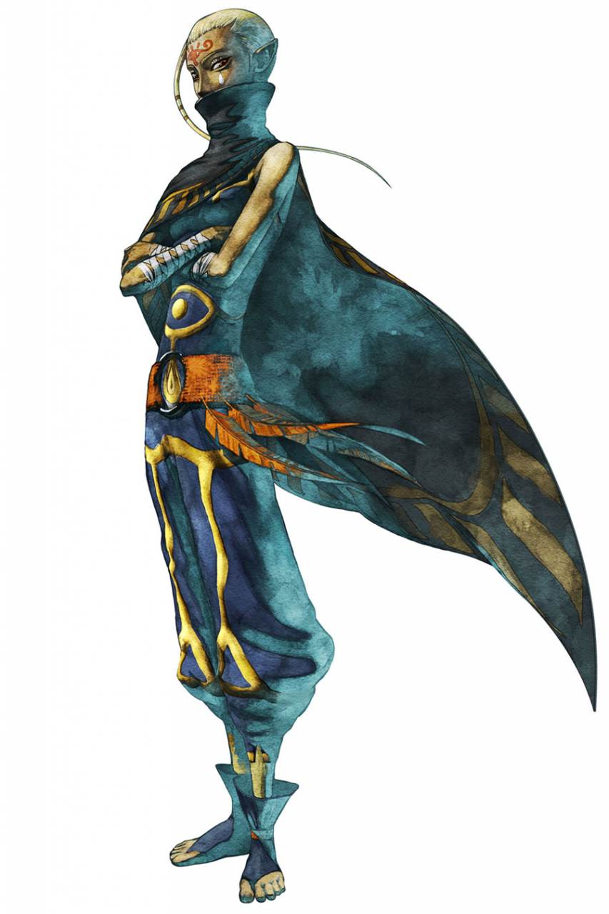 Legend of Zelda : Skyward Sword [Wii]