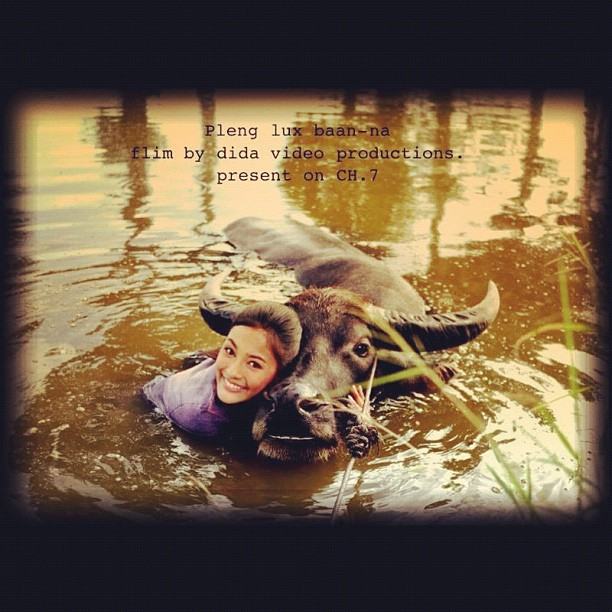 ปุ๊กลุ๊ก @ instagram