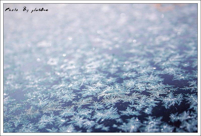 ice flower - ดอกไม้น้ำแข็ง