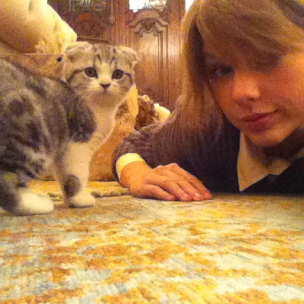Taylor Swift ถ่ายรูปกับน้องแมวตัวใหม่สุดน่ารัก!!!