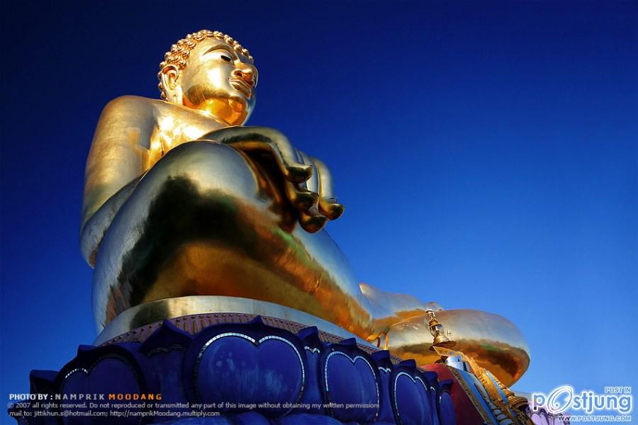 HM album พระพุทธนวล้านตื้อ แห่งสามแผ่นดิน