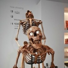 Sex skull caused a sensation in New York Exhibition