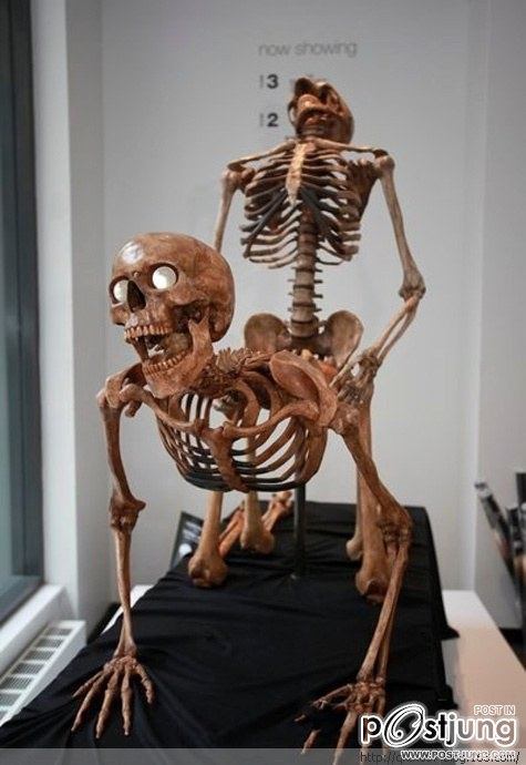 Sex skull caused a sensation in New York Exhibition