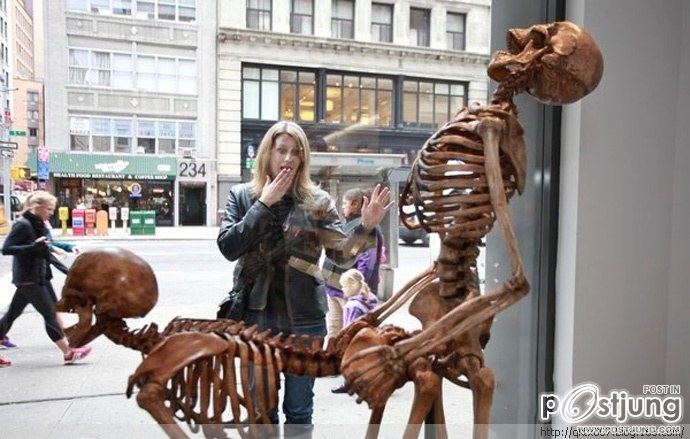 Sex skull caused a sensation in New York Exhibition