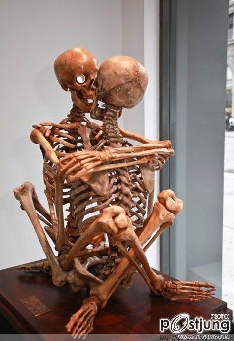 Sex skull caused a sensation in New York Exhibition