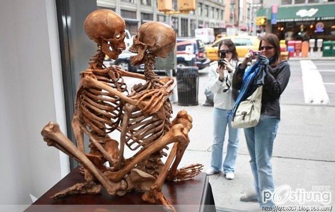 Sex skull caused a sensation in New York Exhibition