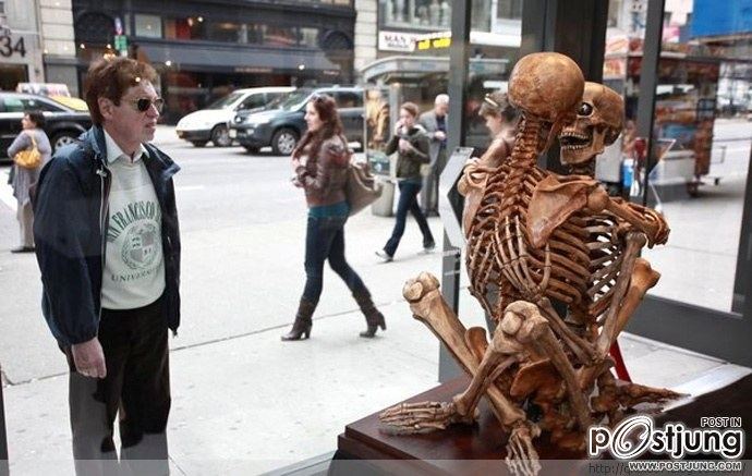 Sex skull caused a sensation in New York Exhibition
