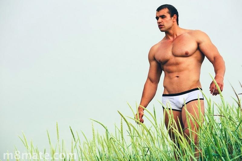 m8mate Underwear : Part II