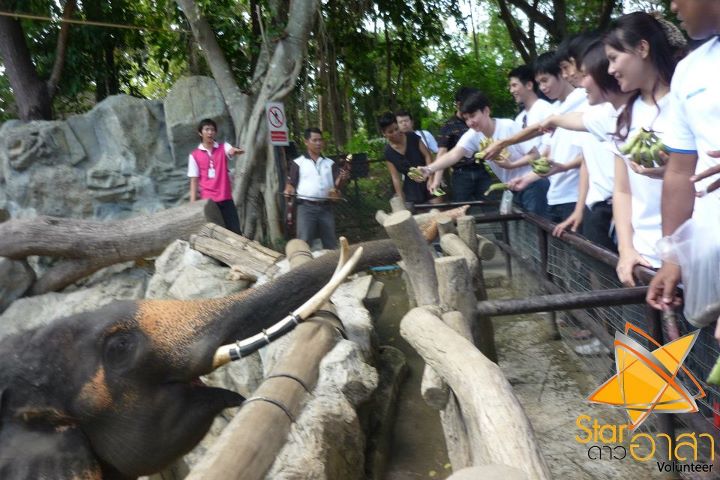 โป๊ป ธนวรรธน์ @ รายการดาวอาสา