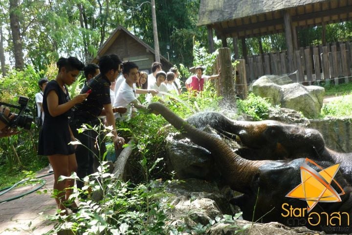 โป๊ป ธนวรรธน์ @ รายการดาวอาสา