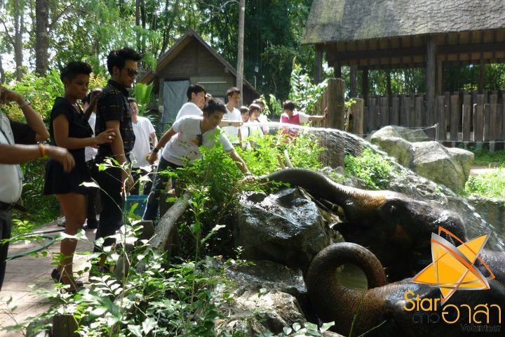 โป๊ป ธนวรรธน์ @ รายการดาวอาสา