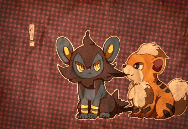 POKEMON ครับ