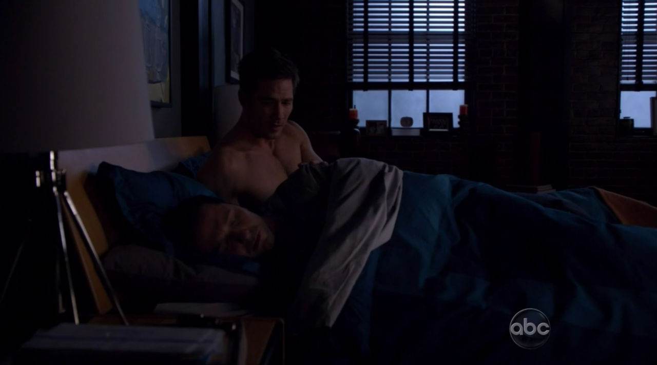 Luke MacFarlane Shirtless in Brothers & Sisters