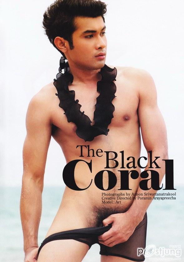 สองเหตุกานนนกับ 1หนุ่ม