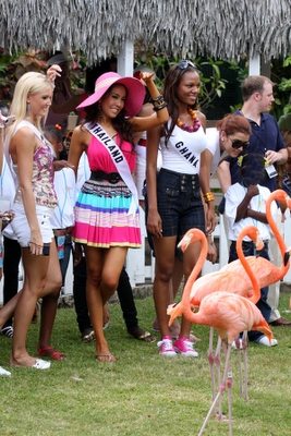 ไข่มุก MTU ผู้แย่งซีน