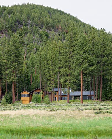 Timber Wood Home in Natural Courtyard Setting